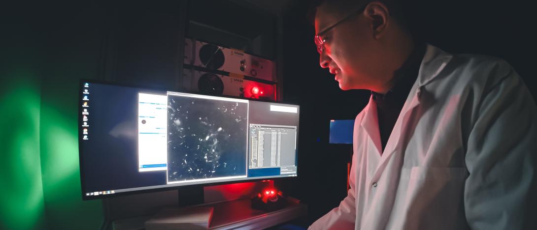 Rewiring the Brain | College of Arts and Sciences